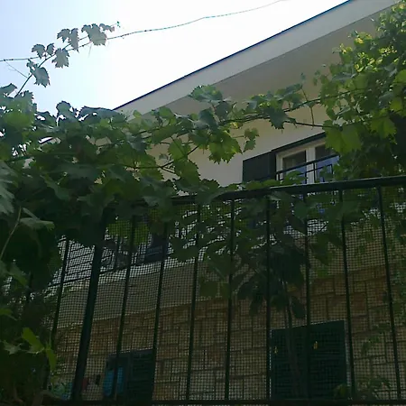 Konukevi Sentic 3*